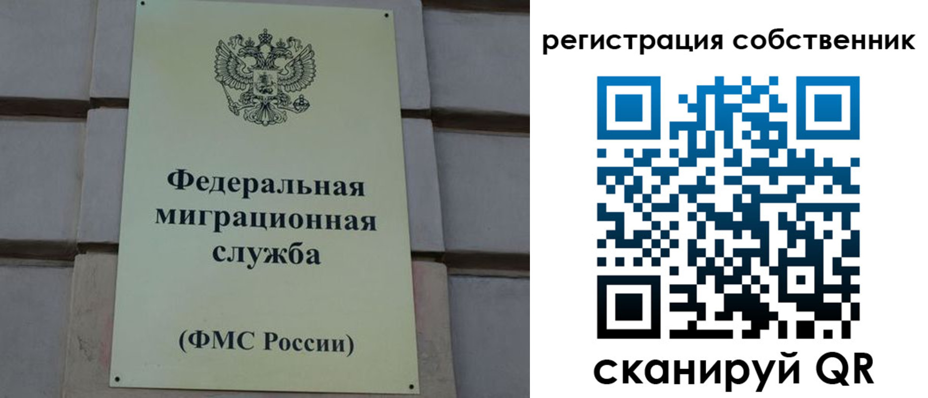 прописка гарантия в Алексине